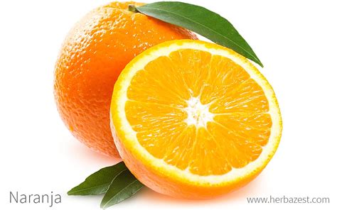 que es la jifruta|Naranja (fruta) .